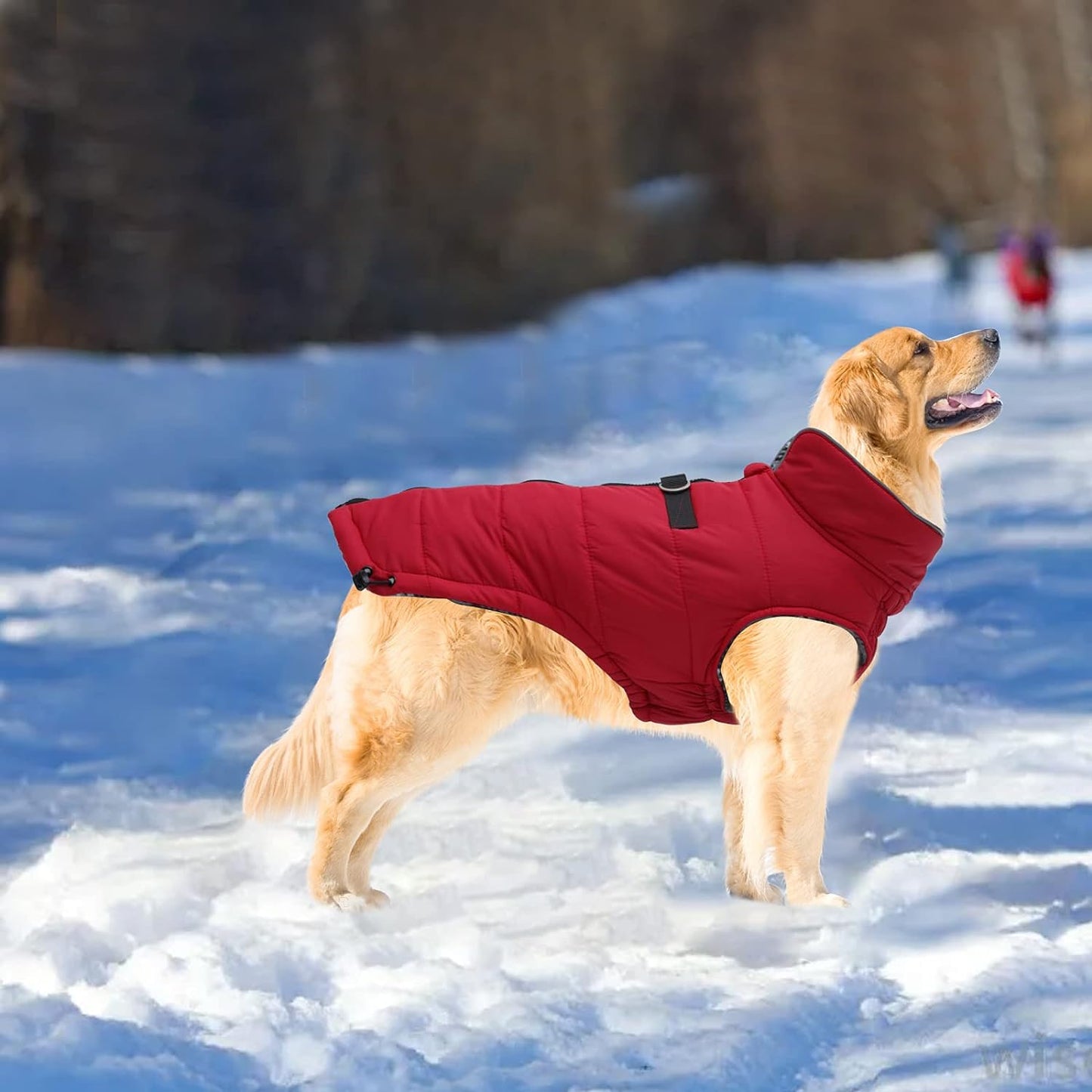 Dog Winter Warm Coat Jacket, Windproof Snowproof, Pet Outdoor Jacket for Small to Large Dogs - Red - XXL